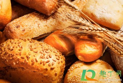 狗吃面包没事吧(狗狗吃一点面包有事吗) 狗吃面包没事吧(狗狗吃一点面包有事吗)