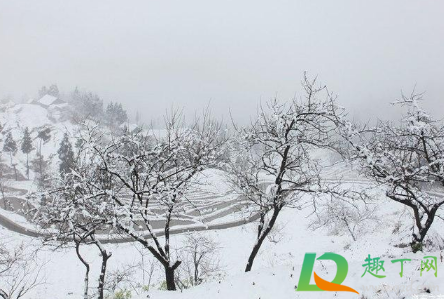 2021春节期间北京会不会下雪(2021年秋天北京下雪了吗) 2021春节期间北京会不会下雪(2021年秋天北京下雪了吗)