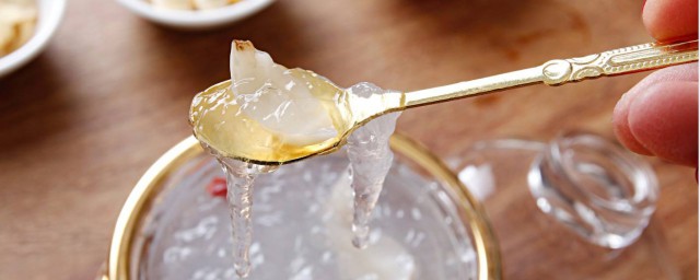 可以提高免疫功能(可以提高免疫力)