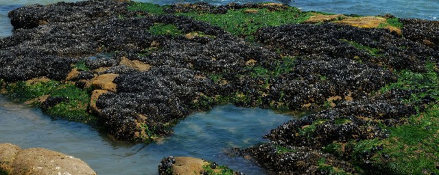 吃住购物防宰攻略