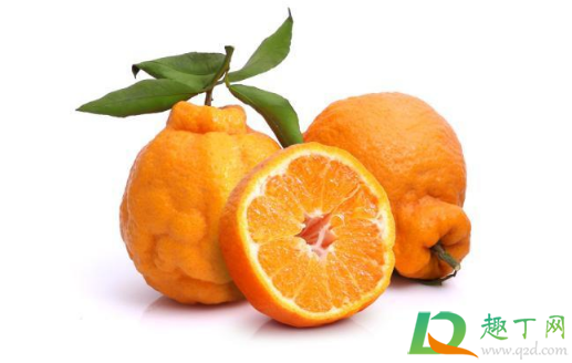 烤橘子可以用丑橘吗(烤橘子用什么橘子好) 烤橘子可以用丑橘吗(烤橘子用什么橘子好)
