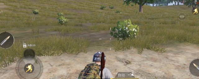 和平精英游戏卡顿怎么办(玩和平精英卡顿怎么回事)