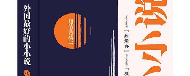 小小说具体介绍(小小说书名)