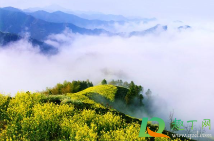 2021清明节当天有雨吗(2021年清明节哪里不下雨) 2021清明节当天有雨吗(2021年清明节哪里不下雨)