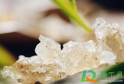 雪燕怎么炖才不会化水(雪燕是水开后放下去炖吗)