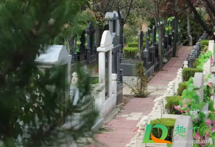 上海2021年清明节扫墓需要预约吗(上海2021年清明扫墓怎么预约)