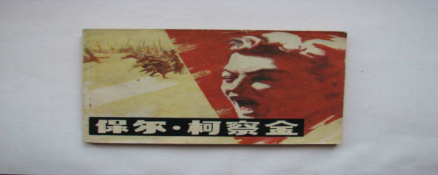 保尔柯察金的人物介绍(保尔柯察金的人物简介)