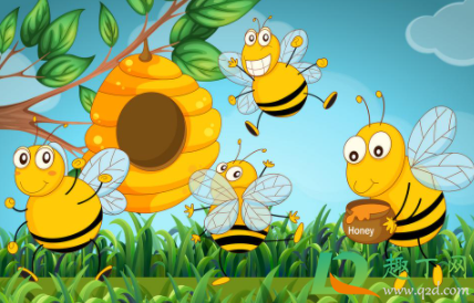 蜂巢熬水治好了鼻炎怎么服用(蜂巢治好了鼻炎用法)