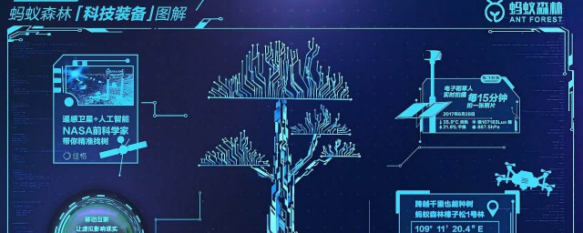 称号是一种荣誉(荣誉称号的意思)