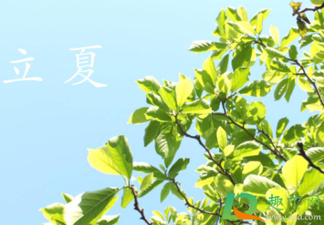 2021年立夏前一天可以结婚吗(2021年立冬前一天能不能结婚)