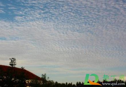 2021年2月份的北京会下雪吗(2021-2022年北京几月份下雪) 2021年2月份的北京会下雪吗(2021-2022年北京几月份下雪)