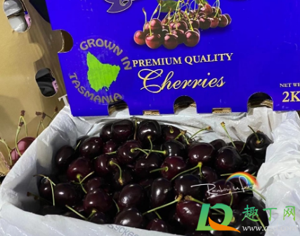 科迪亚车厘子和智利车厘子哪个好(智利车厘子和桑迪那车厘子区别)