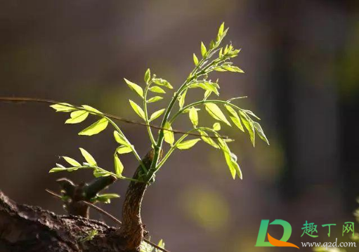 2021年躲春是几点到几点(2021年躲春是几月几号几点几分)