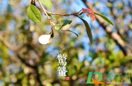 2021惊蛰是什么季节(2021年惊蛰是什么气温)