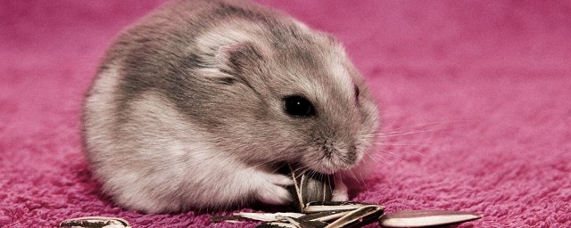 三种不动情况(什么情况不动了)