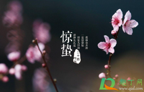 惊蛰之后是正月还是2月(惊蛰过后是几月) 惊蛰之后是正月还是2月(惊蛰过后是几月)