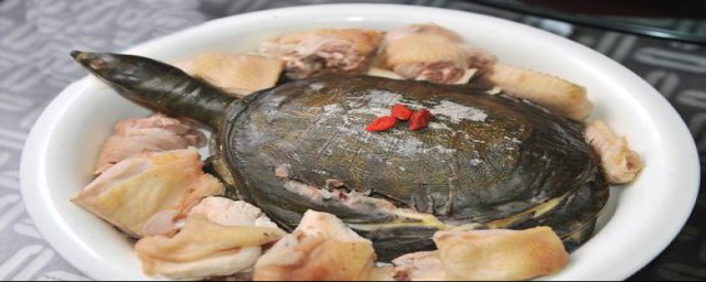 甲鱼怎么炖最有营养(甲鱼怎么炖最有营养价值)