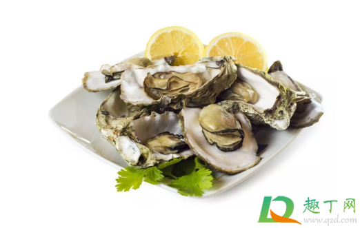 生蚝内脏在哪里怎么去除(生蚝里面内脏怎么清理)