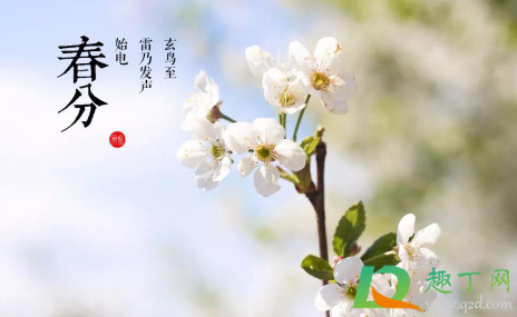 2021年春分是几九(2021年春分是几时)