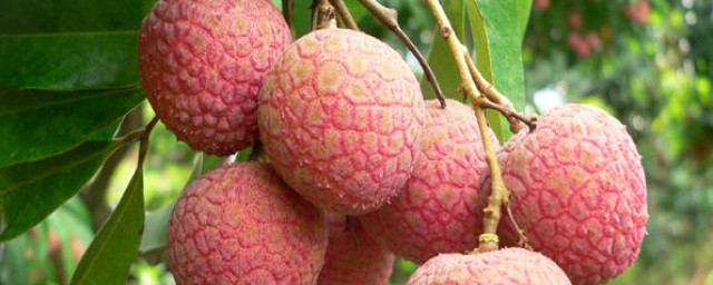 4点为你讲解(给我设置四点)