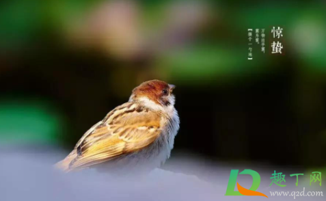 惊蛰之后是正月还是2月(惊蛰过后是几月)