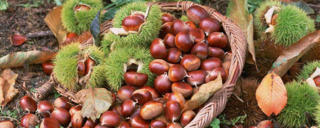 小身体大作用(小身体大作用关于疫苗)