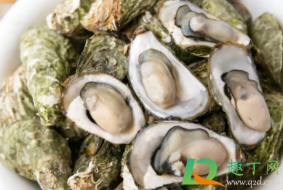 生蚝怎么有一坨绿色(生蚝屁股上的绿色)