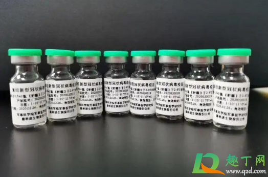 新冠疫苗必须在本地打吗(新冠疫苗必须要在本地打吗) 新冠疫苗必须在本地打吗(新冠疫苗必须要在本地打吗)