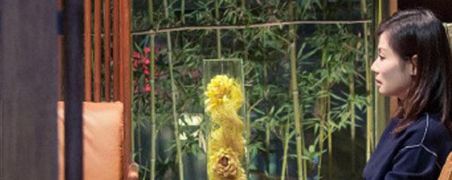 我们都要好好的剧情(我们都要好好的剧情全集)