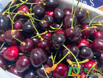 科迪亚车厘子是哪个国家的(科利亚车厘子是哪个国家)