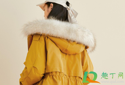 派克服内胆是包胆好吗(派克服都是什么内胆)