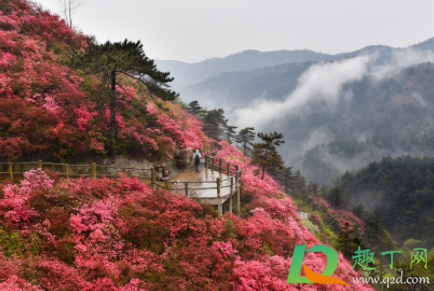 武汉木兰云雾山春节闭园真的假的2021(武汉木兰云雾山风景区)