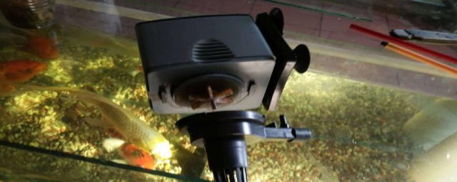 如何清洗鱼缸水泵(鱼缸水泵管怎么清洗)