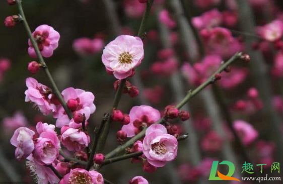 躲春的时候可以睡觉吗(躲春可以睡觉吗?)