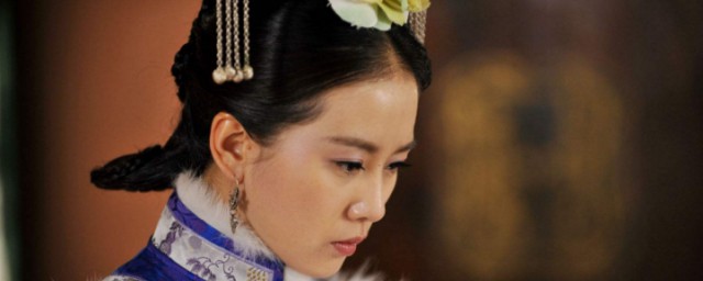 电视剧步步惊心讲的是什么(步步惊心讲述的是什么)