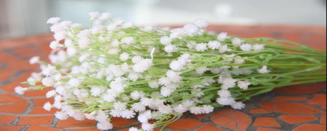 满天星的故事(满天星的故事传说简短)