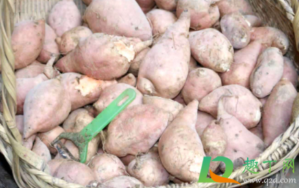 红薯放哪里不容易烂(红薯放在哪里才不容易坏)