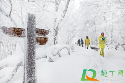 为什么今年的寒潮特别冷2021(2021年春季寒冷吗)