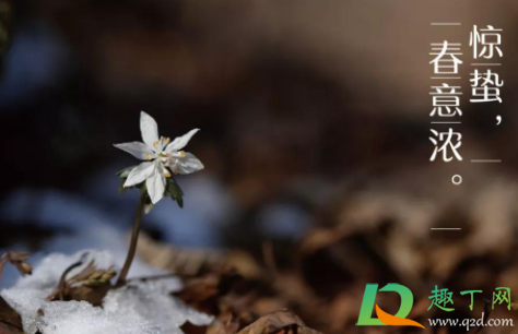 2021年惊蛰是几九第几天(2021年的惊蛰是几点) 2021年惊蛰是几九第几天(2021年的惊蛰是几点)