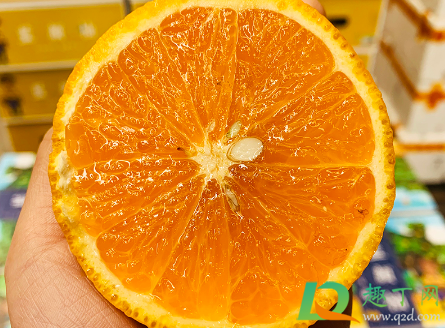 蓝颜柚是橙子还是柚子(甜橙柚是橙子还是柚子) 蓝颜柚是橙子还是柚子(甜橙柚是橙子还是柚子)