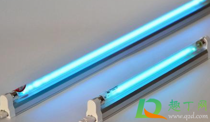 家用紫外线灯能杀什么菌(紫外线灯杀灭什么菌)