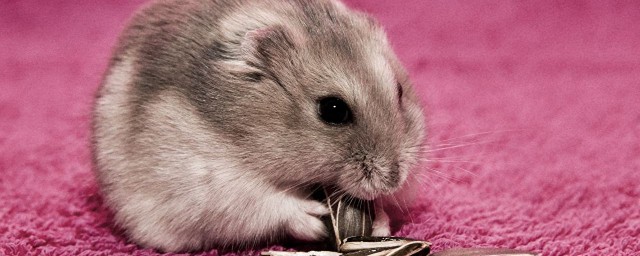 训练方法步骤(倒立训练方法步骤)