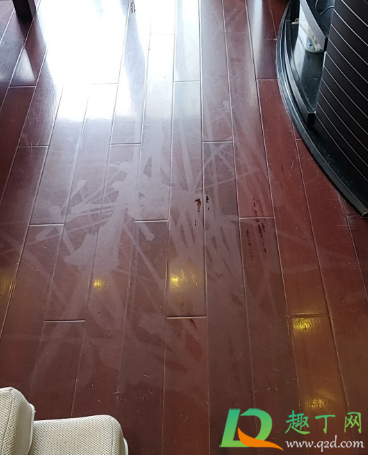 蒸汽拖把木地板烫白怎么办(蒸汽拖把拖完地板后地板发白) 蒸汽拖把木地板烫白怎么办(蒸汽拖把拖完地板后地板发白)