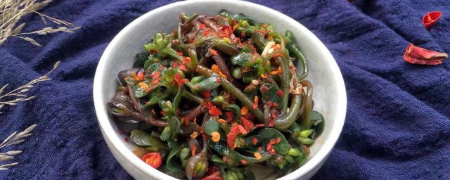 尝试凉拌马齿苋健康又好吃(凉拌马齿苋的正宗做法窍门)