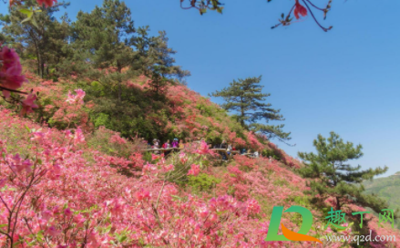 武汉木兰云雾山春节闭园真的假的2021(武汉木兰云雾山风景区)