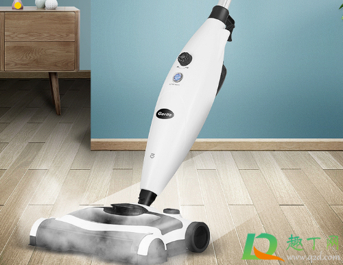 蒸汽拖把真心不怎么样(蒸汽拖把真的有用吗) 蒸汽拖把真心不怎么样(蒸汽拖把真的有用吗)