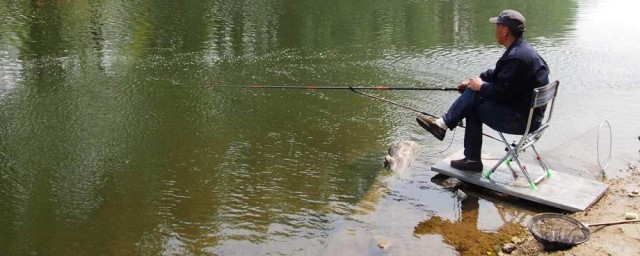 具体原因介绍(具体原因分析)