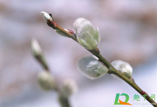 2021年躲春是一天还是一小时(2021年躲春时间几点几分几秒) 2021年躲春是一天还是一小时(2021年躲春时间几点几分几秒)