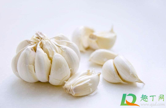 打新冠疫苗可以吃韭菜饺子吗(打完新冠疫苗能吃韭菜饺子吗) 打新冠疫苗可以吃韭菜饺子吗(打完新冠疫苗能吃韭菜饺子吗)