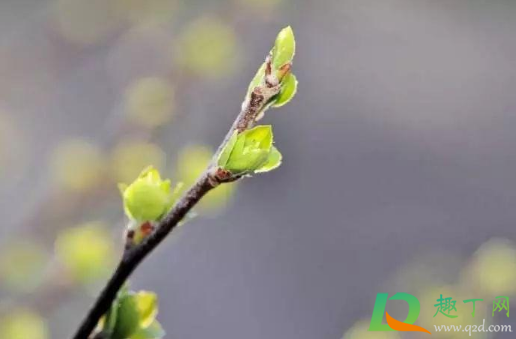 2021年躲春是几点到几点(2021年躲春是几月几号几点几分)